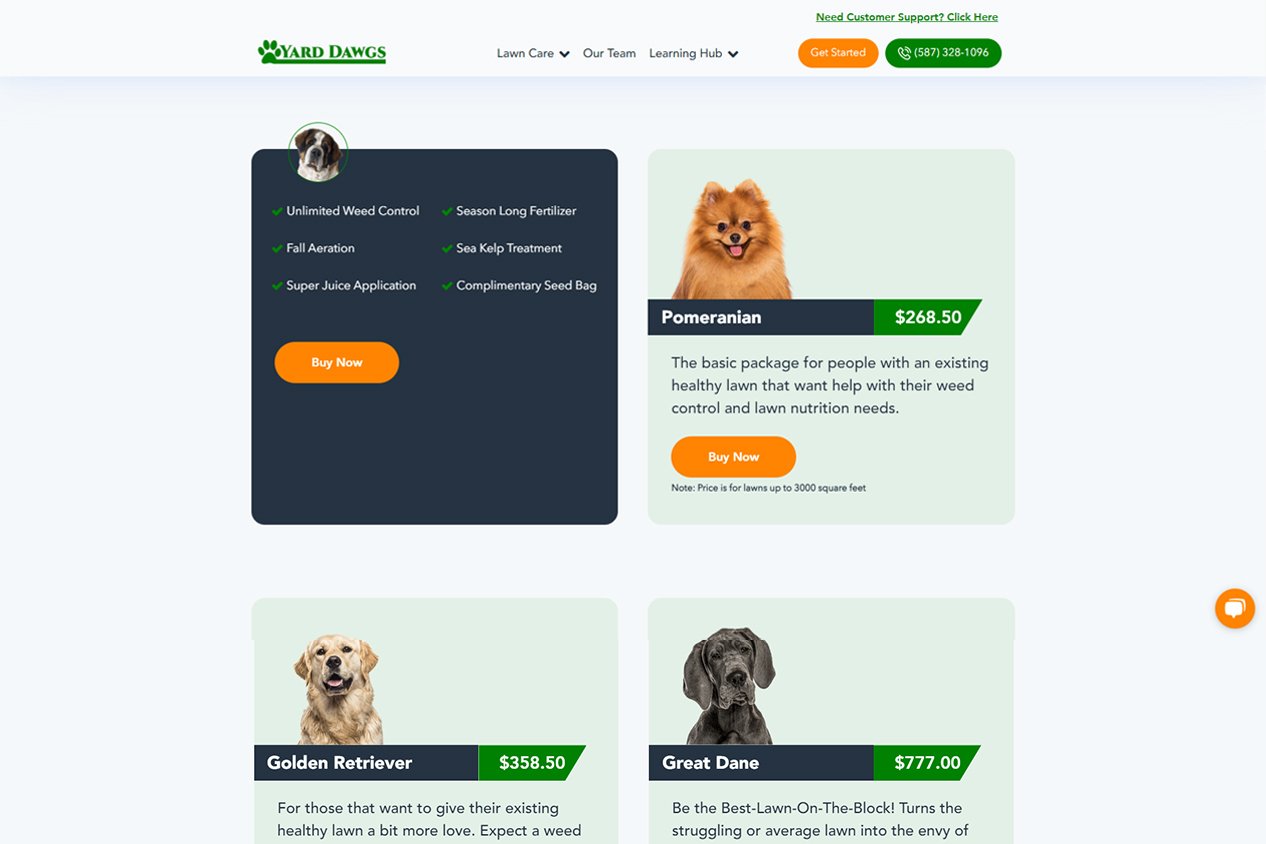 Interactives website - flip cards