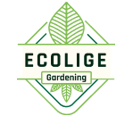 Logo-3