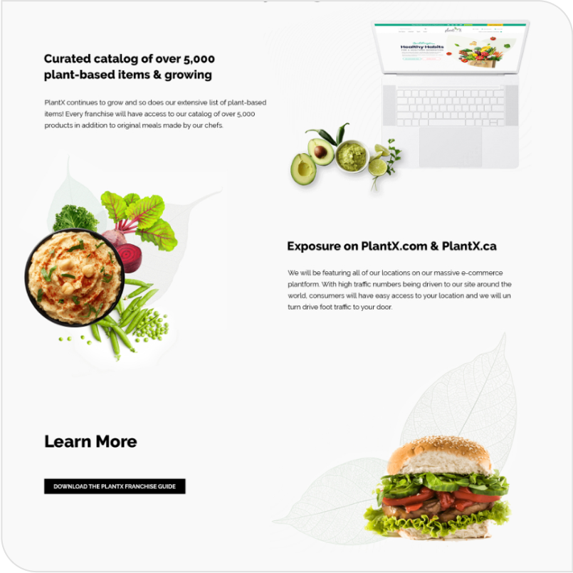 Landing Page template designs