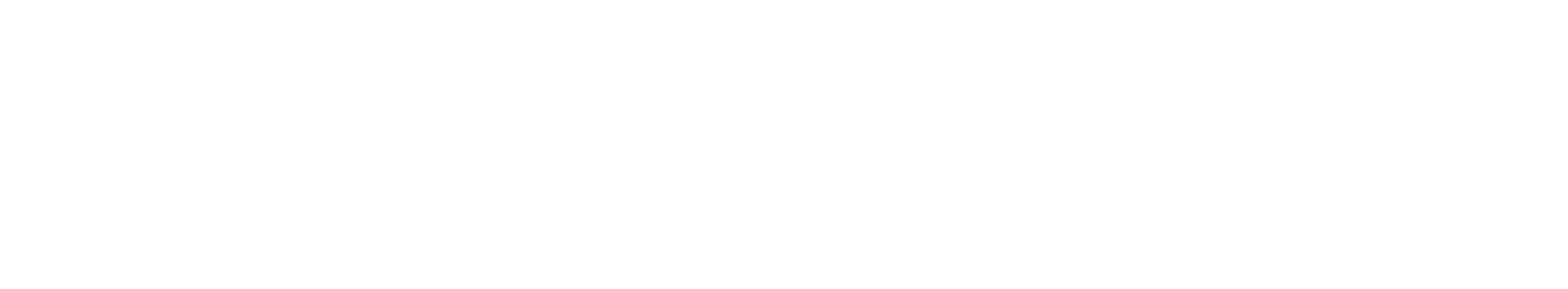 Prodigitas-1