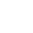 Vector white